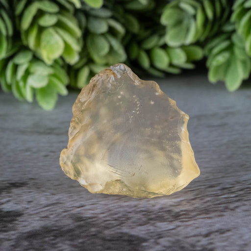 Libyan Desert Glass 5.21 g 26x25x9mm - InnerVision Crystals