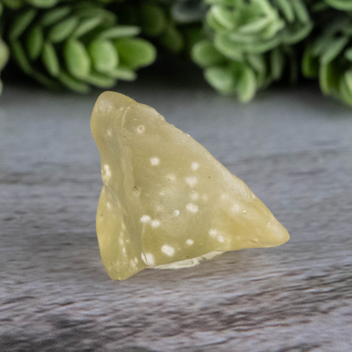 Libyan Desert Glass 6.21 g 26x18x15mm - InnerVision Crystals