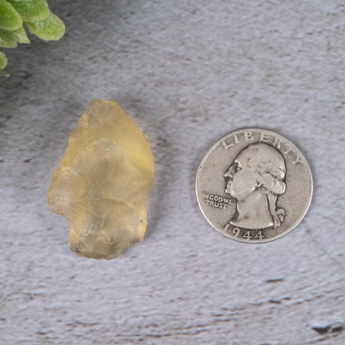 Libyan Desert Glass 6.34 g 32x19x13mm - InnerVision Crystals