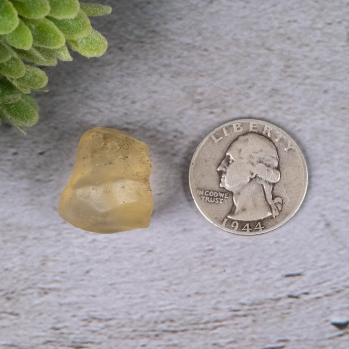 Libyan Desert Glass 6.44 g 21x18x14mm - InnerVision Crystals