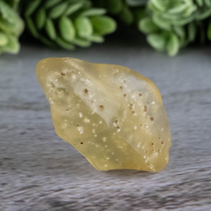 Libyan Desert Glass 6.50 g 28x15x13mm - InnerVision Crystals