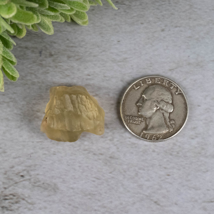 Libyan Desert Glass 7.05 g 22x20x16mm - InnerVision Crystals