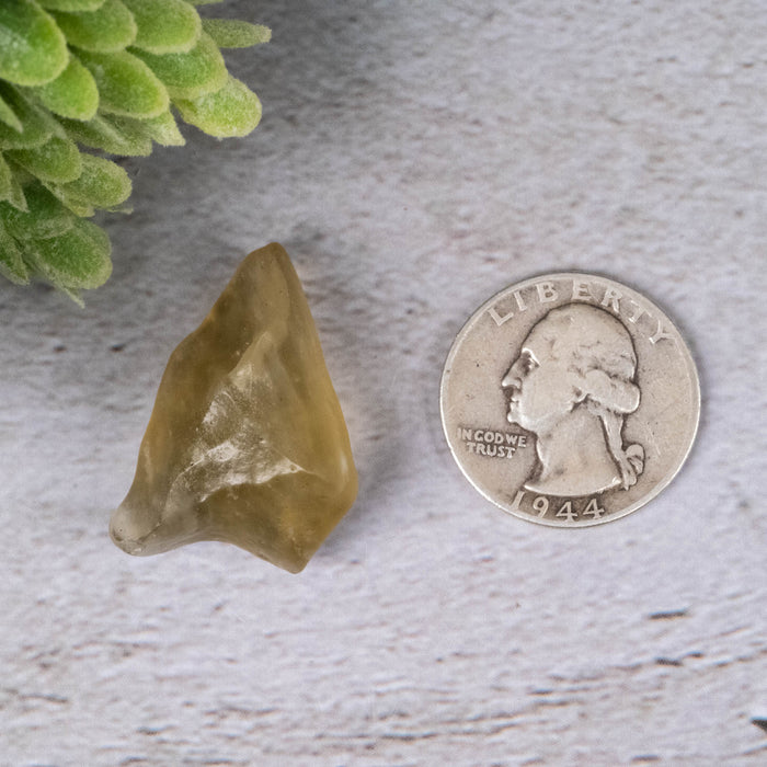 Libyan Desert Glass 7.28 g 31x18x13mm - InnerVision Crystals