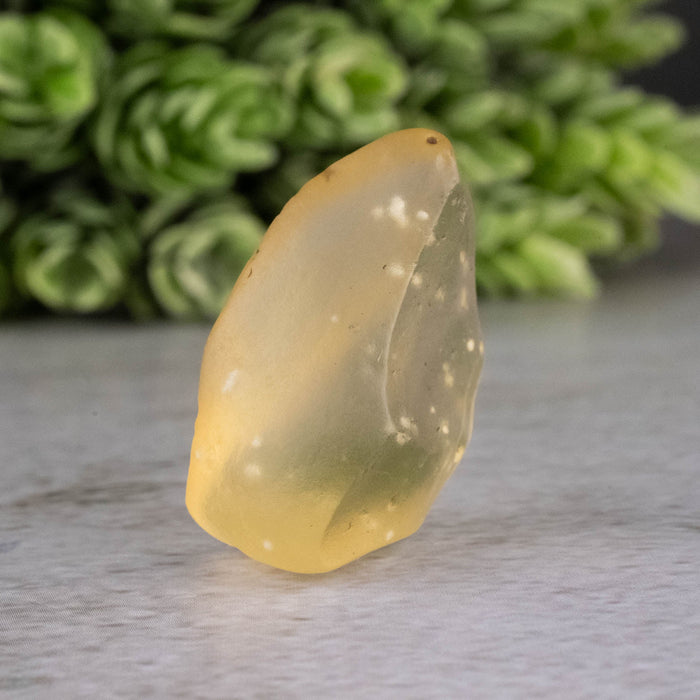 Libyan Desert Glass 7.44 g 29x20x13mm - InnerVision Crystals