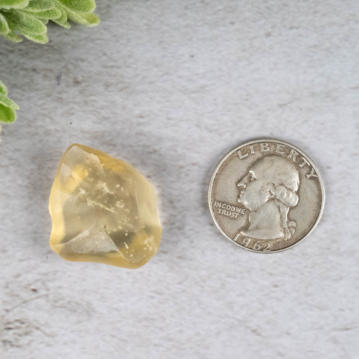 Libyan Desert Glass 7.54 g 24x23x10mm - InnerVision Crystals