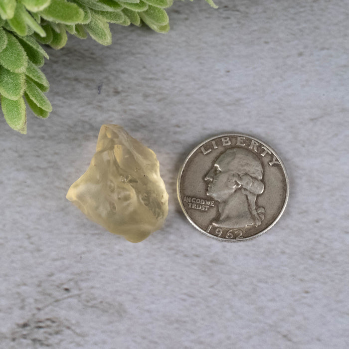 Libyan Desert Glass 7.68 g 26x20x16mm - InnerVision Crystals