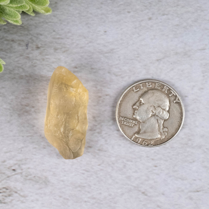 Libyan Desert Glass 7.78 g 32x15x14mm - InnerVision Crystals