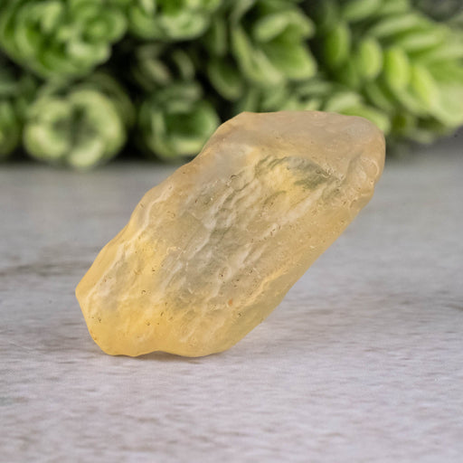 Libyan Desert Glass 7.78 g 32x15x14mm - InnerVision Crystals