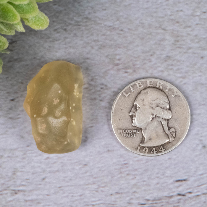 Libyan Desert Glass 7.91 g 28x19x16mm - InnerVision Crystals