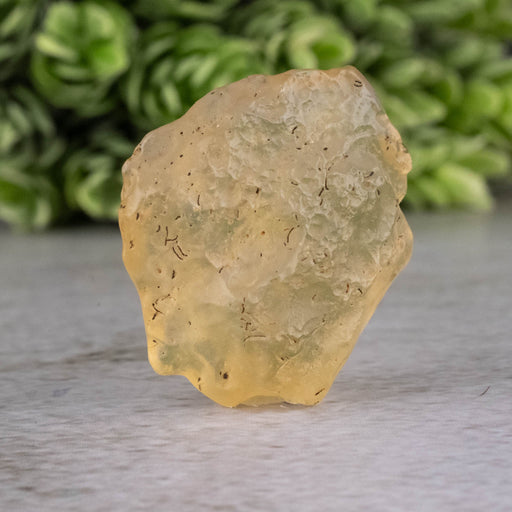 Libyan Desert Glass 7.91 g 31x26x11mm - InnerVision Crystals