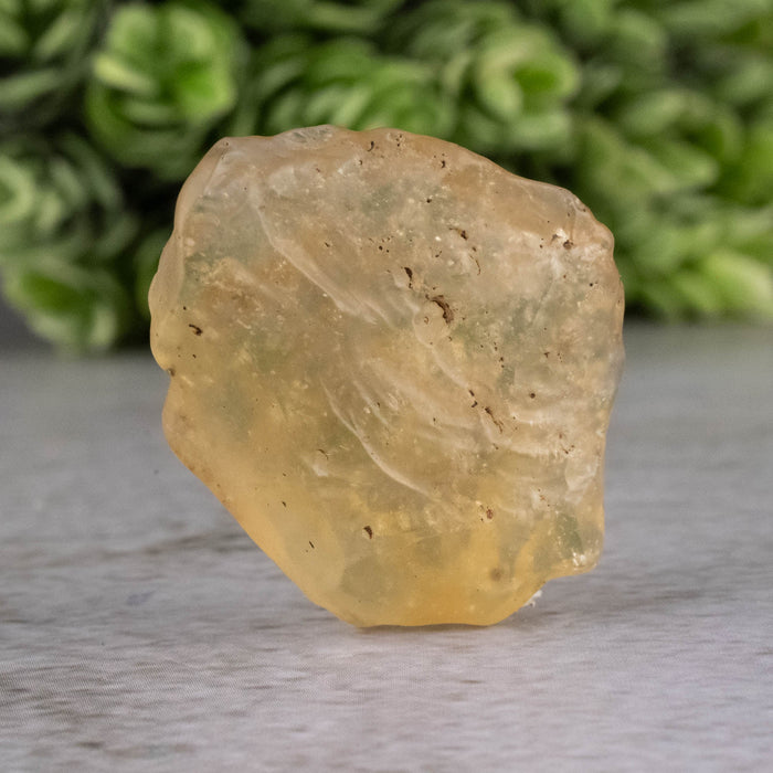 Libyan Desert Glass 7.91 g 31x26x11mm - InnerVision Crystals