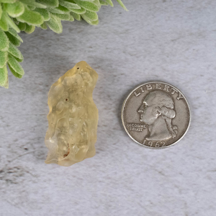 Libyan Desert Glass 7.95 g 35x20x12mm - InnerVision Crystals