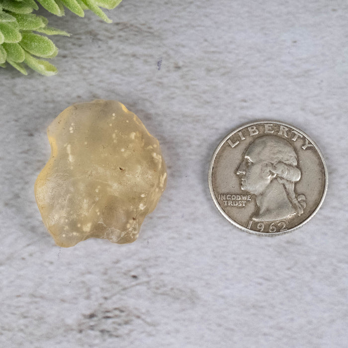 Libyan Desert Glass 8.03 g 31x25x11mm - InnerVision Crystals