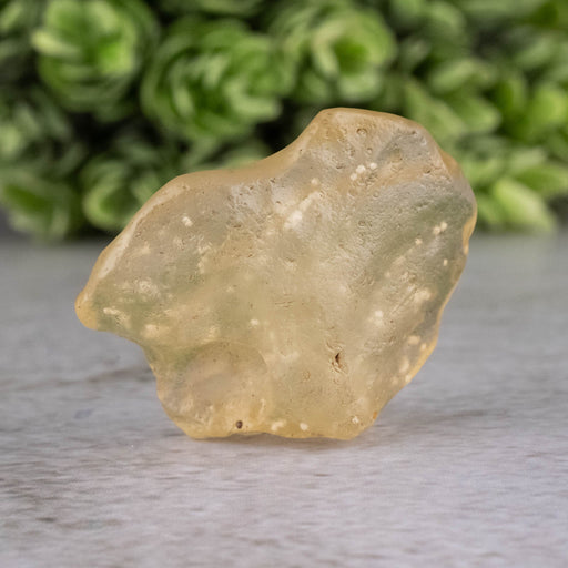 Libyan Desert Glass 8.03 g 31x25x11mm - InnerVision Crystals