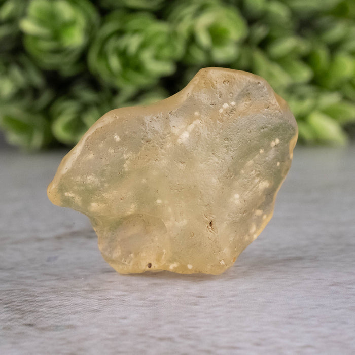 Libyan Desert Glass 8.03 g 31x25x11mm - InnerVision Crystals