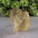 Libyan Desert Glass 8.19 g 23x15x9mm - InnerVision Crystals