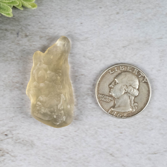 Libyan Desert Glass 8.31 g 39x20x10mm - InnerVision Crystals