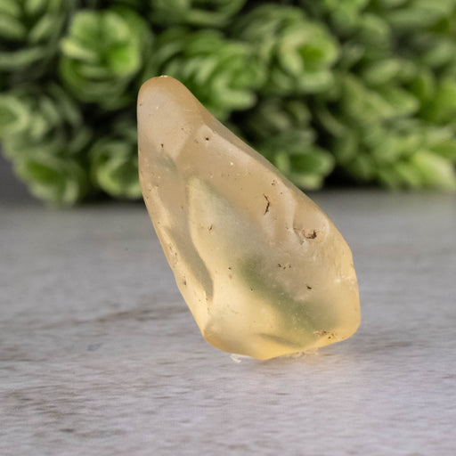 Libyan Desert Glass 8.39 g 32x16x17mm - InnerVision Crystals