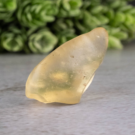 Libyan Desert Glass 8.39 g 32x16x17mm - InnerVision Crystals