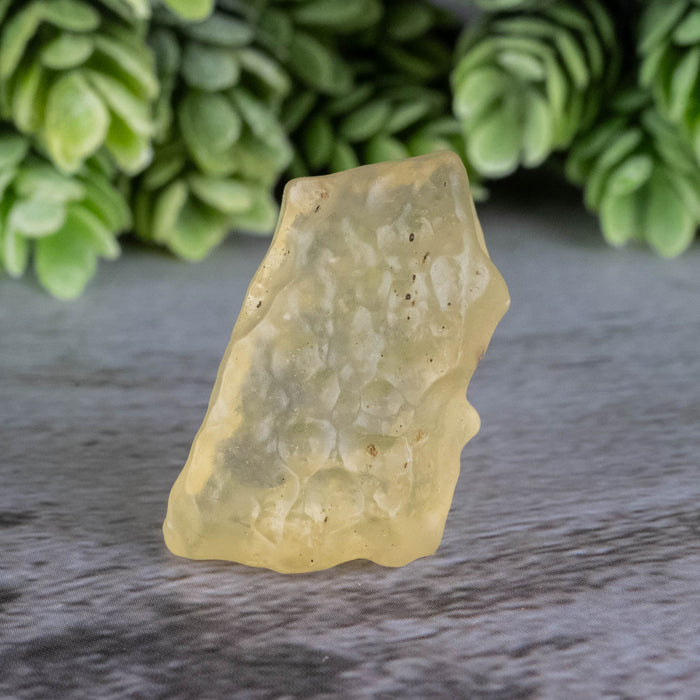 Libyan Desert Glass 8.74 g 32x17x12mm - InnerVision Crystals