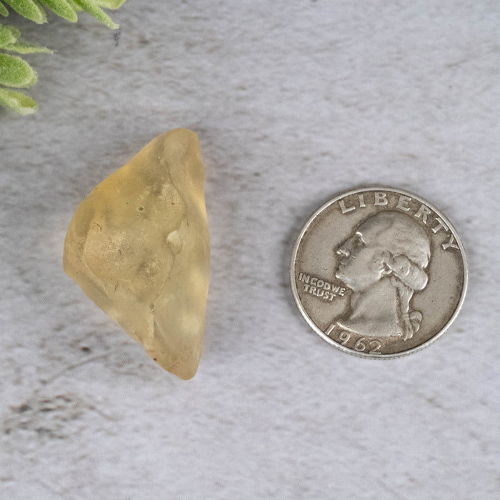 Libyan Desert Glass 9.02 g 35x17x18mm - InnerVision Crystals