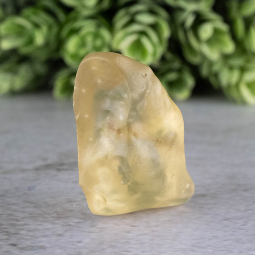 Libyan Desert Glass 9.38 g 31x17x17mm - InnerVision Crystals