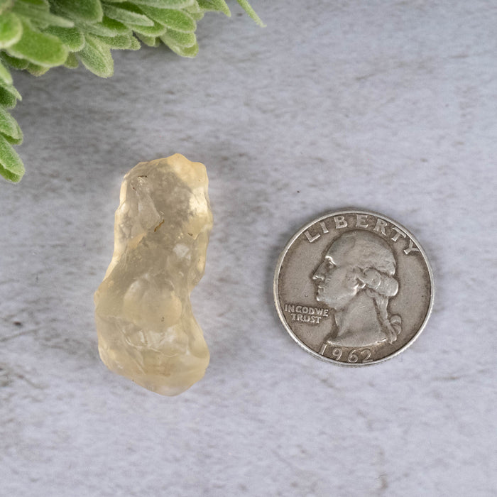 Libyan Desert Glass 9.65 g 36x16x16mm - InnerVision Crystals