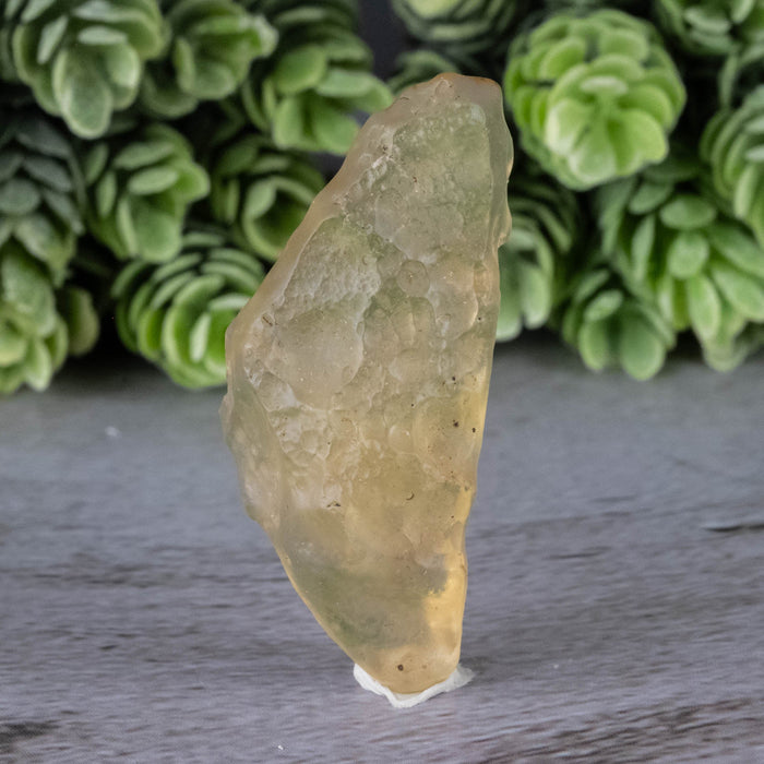 Libyan Desert Glass 9.68 g 47x20x12mm - InnerVision Crystals