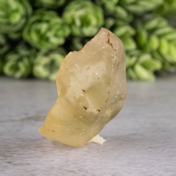 Libyan Desert Glass 9.69 g 35x21x14mm - InnerVision Crystals