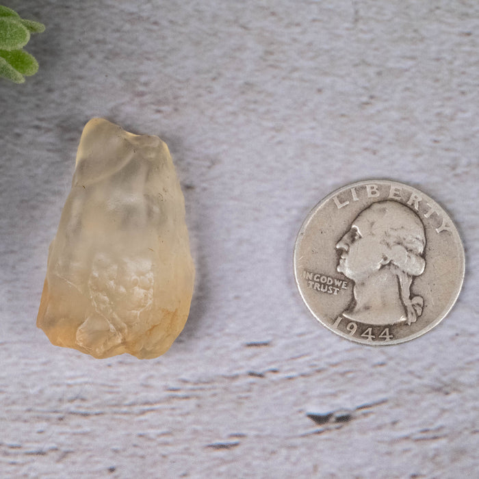 Libyan Desert Glass 9.73 g 34x22x12mm - InnerVision Crystals