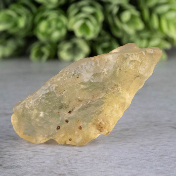 Libyan Desert Glass 9.77 g 43x20x14mm - InnerVision Crystals