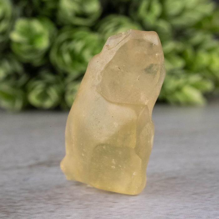 Libyan Desert Glass 9.87 g 36x18x18mm - InnerVision Crystals