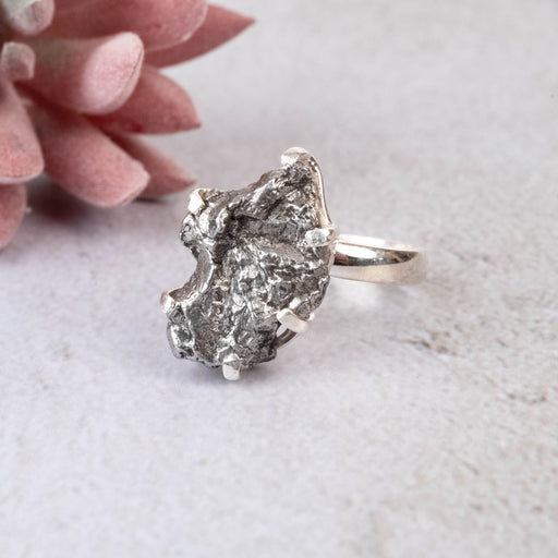 Meteorite Ring 19x13mm Size 8 Adjustable - InnerVision Crystals