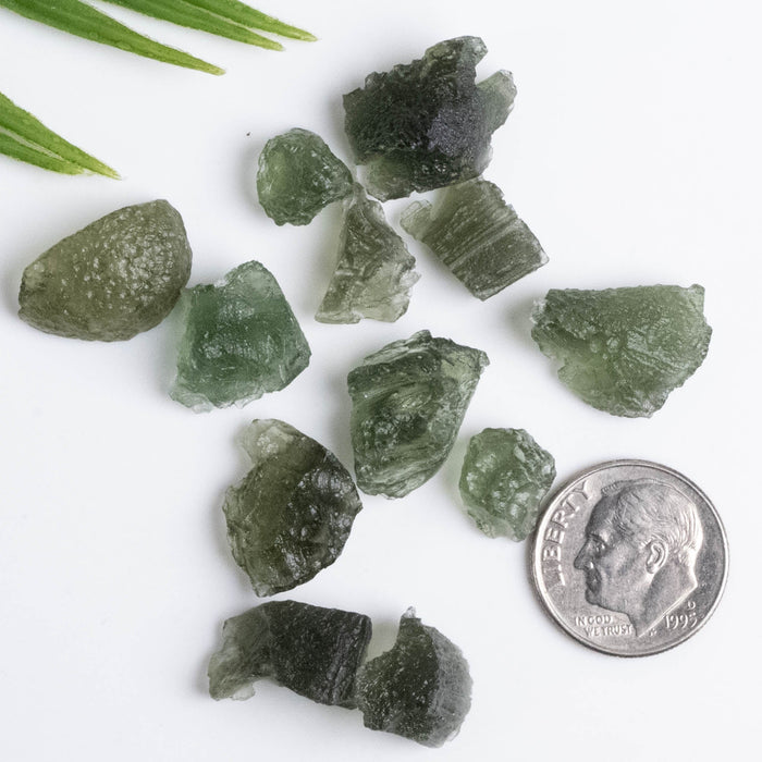 Moldavite 10 gram Lot | Small 1 g and under each - InnerVision Crystals