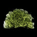 Moldavite 12.48 g 38x23x12mm - InnerVision Crystals