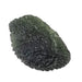 Moldavite 14.99 g 45x29x11mm - InnerVision Crystals