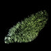 Moldavite 6.92 g 44x21x8mm - InnerVision Crystals