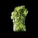 Moldavite 7.16 g 31x16x11mm - InnerVision Crystals