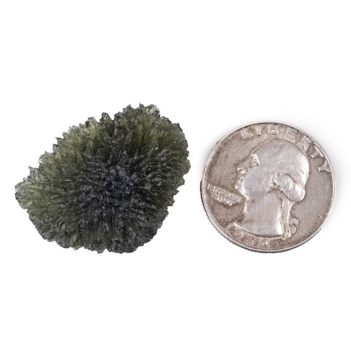 Moldavite 8.39 g 31x24x11mm - InnerVision Crystals