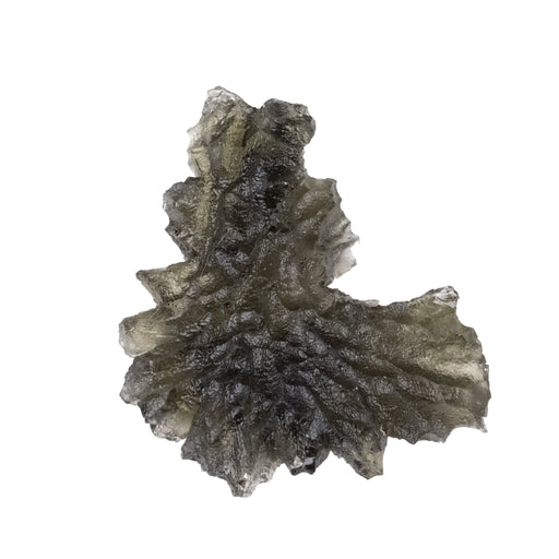 Moldavite - Besednice Jezkovna 3.56 g 28x21x7mm - InnerVision Crystals