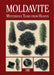 Moldavite : Mysterious Tears from Heaven Book - InnerVision Crystals