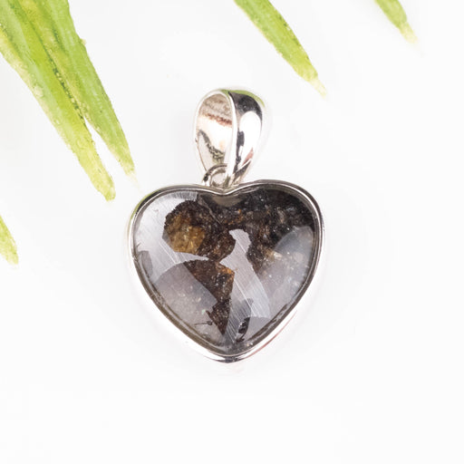 Pallasite Meteorite Heart Pendant 17x11mm - InnerVision Crystals