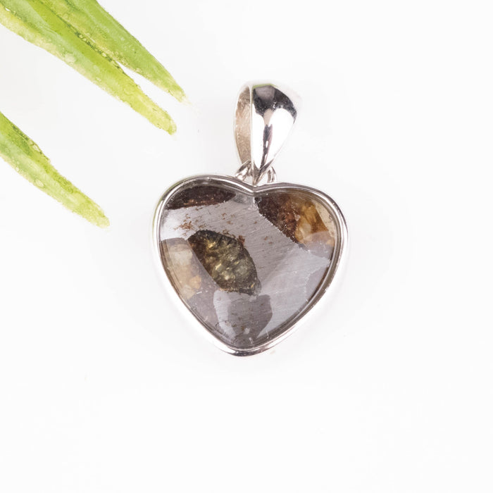 Pallasite Meteorite Heart Pendant 17x11mm - InnerVision Crystals