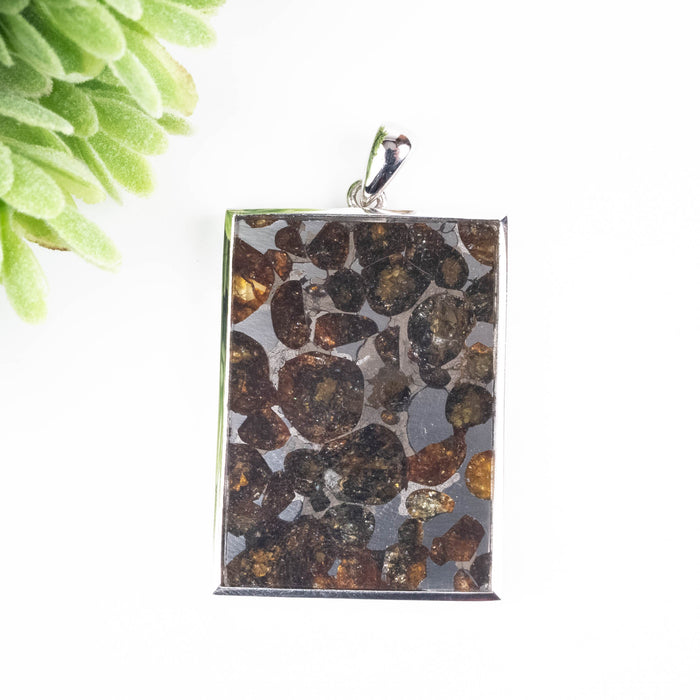 Pallasite Meteorite Pendant 12.40 g 46x27mm - InnerVision Crystals