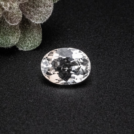 Phenakite Gemstone 1.65 ct 8x5mm - InnerVision Crystals