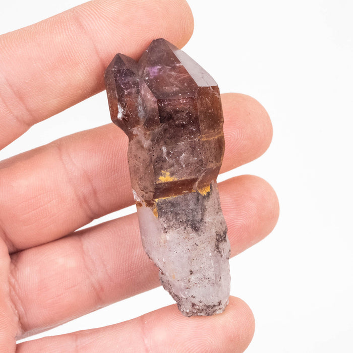 Shangaan Amethyst Scepter 36.12 g 62x25mm - InnerVision Crystals