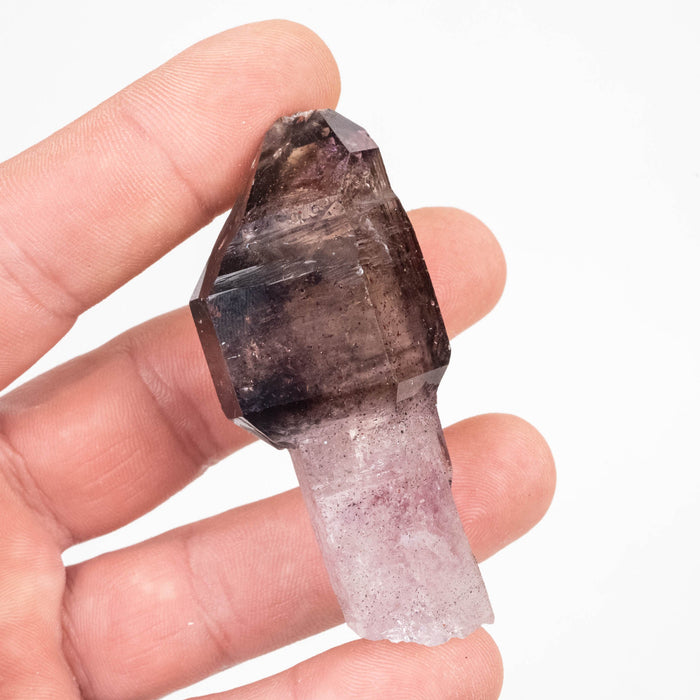 Shangaan Amethyst Scepter 49.10 g 66x29mm - InnerVision Crystals