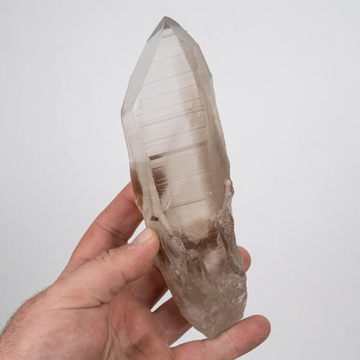 Smoky Lemurian Seed Crystal 534 g 177x55mm - InnerVision Crystals