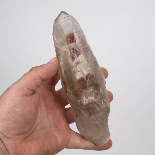 Smoky Lemurian Seed Crystal 534 g 177x55mm - InnerVision Crystals