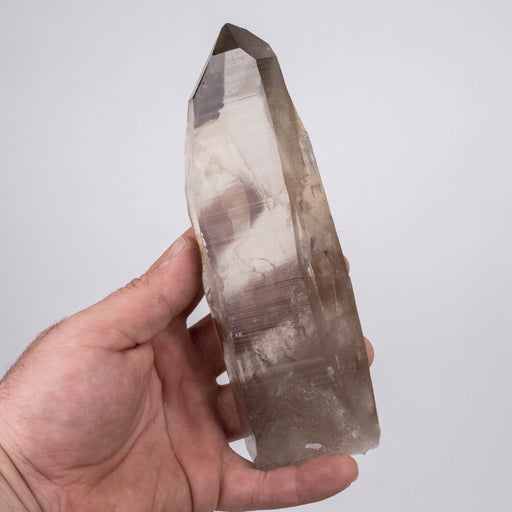 Smoky Lemurian Seed Crystal 566 g 180x60mm - InnerVision Crystals